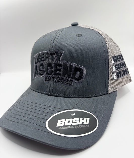 Grey/light grey signature liberty ascend cap